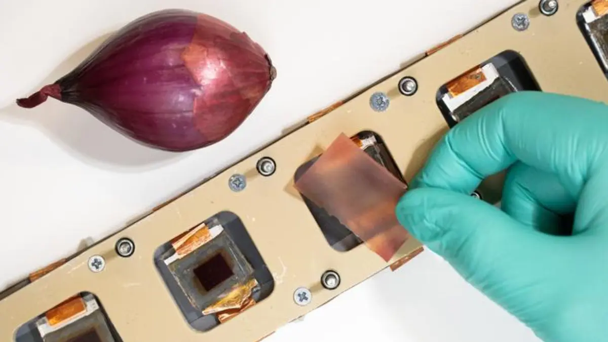 Red onion waste becomes powerful solar cell shield that blocks 99.9% of UV rays