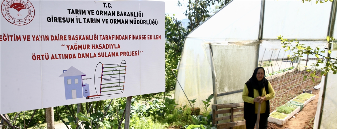 Üreticiler seralarda yetiştirdikleri sebzeleri yağmur hasadı yöntemiyle suluyor