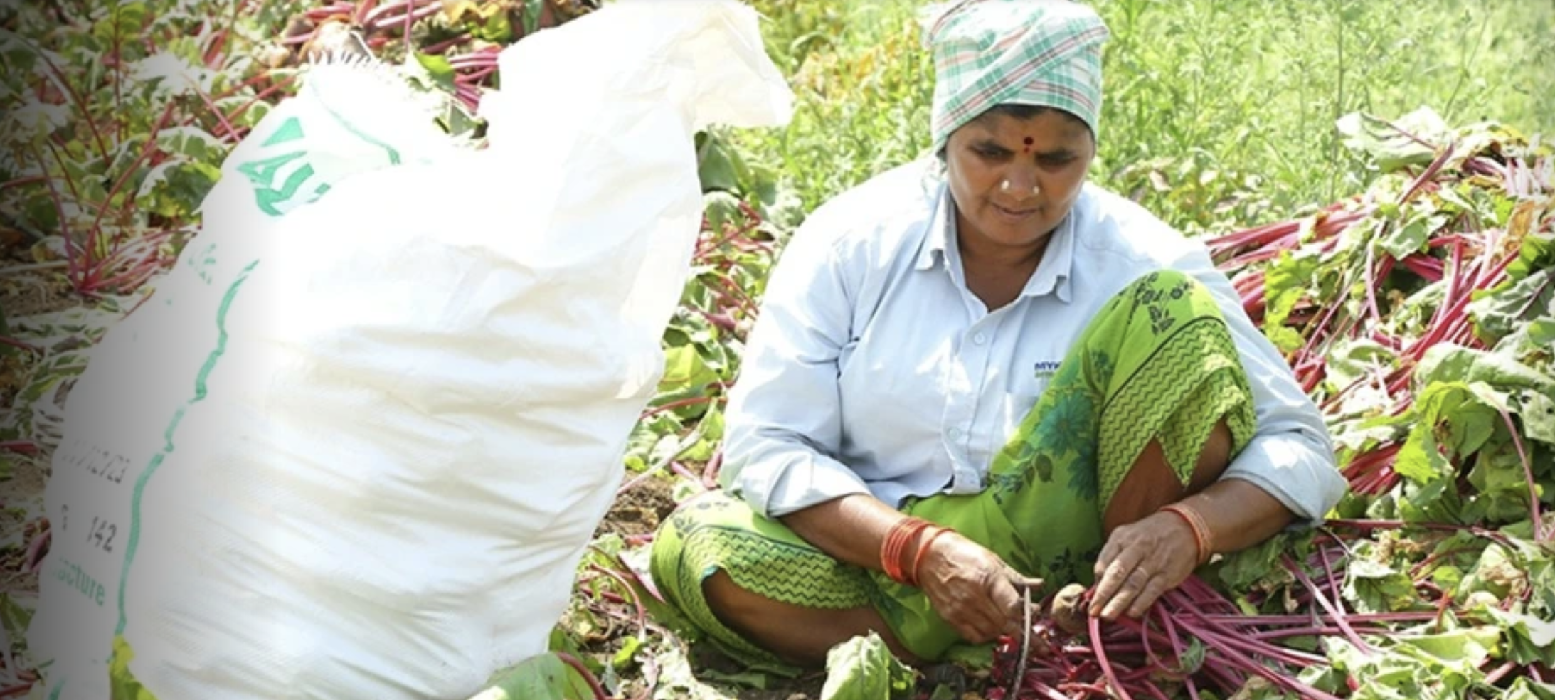 Ücret Eşitsizliği Devam Ediyor: Kadınlar Daha Az Kazanıyor!
